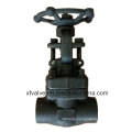 API602 Forged Steel A105 Thread End NPT Gate Valve